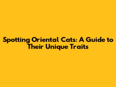 Spotting Oriental Cats: A Guide to Their Unique Traits