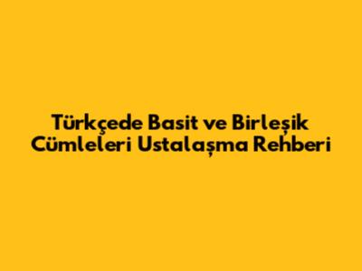 Türkçede Basit ve Birleşik Cümleleri Ustalaşma Rehberi