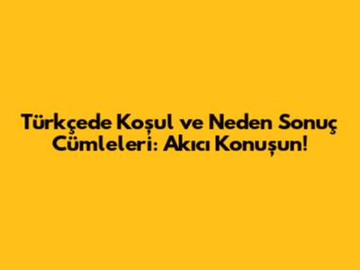 Türkçede Koşul ve Neden Sonuç Cümleleri: Akıcı Konuşun!