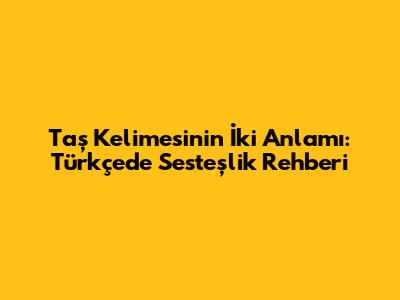 Taş Kelimesinin İki Anlamı: Türkçe'de Sesteşlik Rehberi