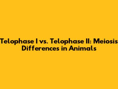 Telophase I vs. Telophase II: Meiosis Differences in Animals