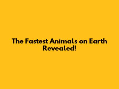The Fastest Animals on Earth Revealed!