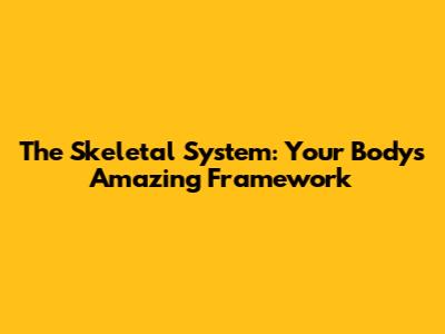 The Skeletal System: Your Body's Amazing Framework