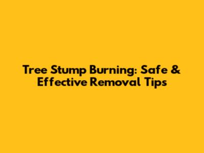 Tree Stump Burning: Safe & Effective Removal Tips