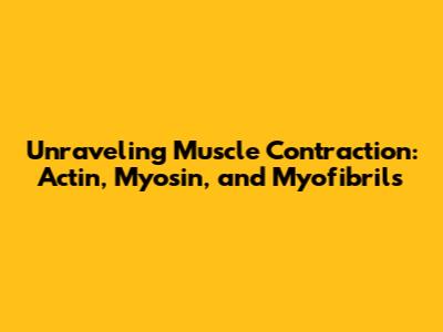 Unraveling Muscle Contraction: Actin, Myosin, and Myofibrils
