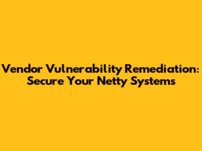 Vendor Vulnerability Remediation: Secure Your Netty Systems